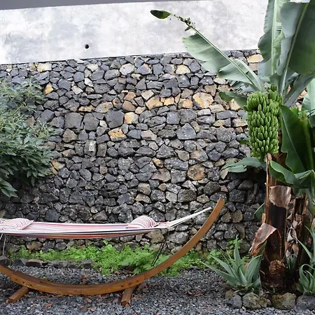 Cristal * La Orotava